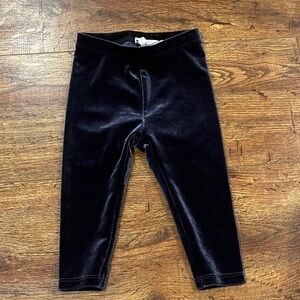 Janie and Jack navy velvet leggings